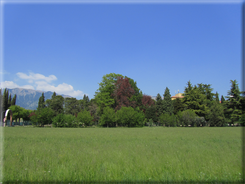 foto Paesaggi Collinari in Primavera